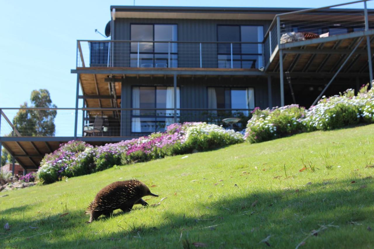 Storm Bay B&B White Beach Eksteriør billede